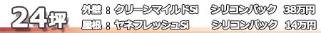 外壁シリコン塗装24坪